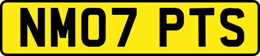 NM07PTS