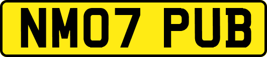 NM07PUB