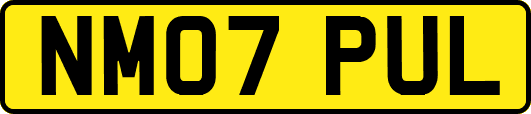 NM07PUL