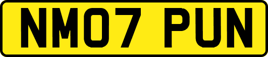 NM07PUN