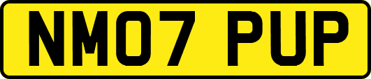 NM07PUP