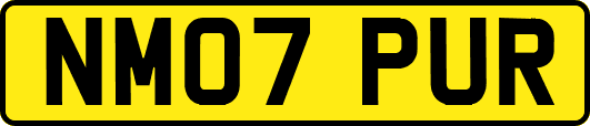 NM07PUR