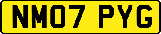 NM07PYG