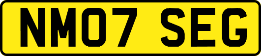NM07SEG