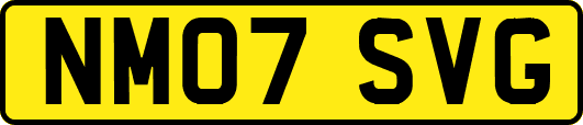 NM07SVG