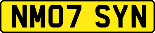 NM07SYN
