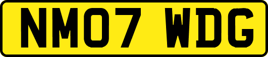 NM07WDG