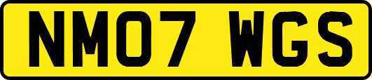 NM07WGS