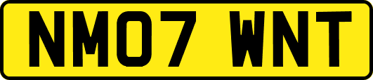 NM07WNT