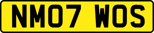 NM07WOS
