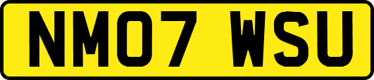 NM07WSU