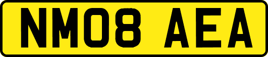 NM08AEA