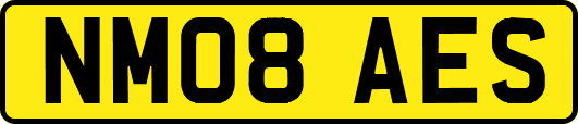 NM08AES