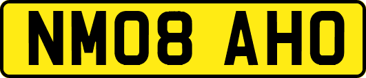 NM08AHO