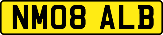 NM08ALB