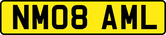 NM08AML