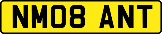 NM08ANT