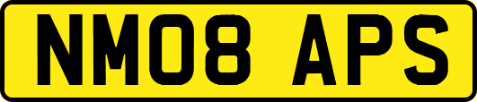 NM08APS