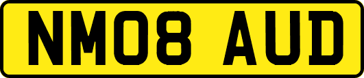 NM08AUD
