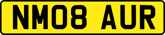 NM08AUR