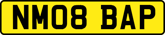 NM08BAP
