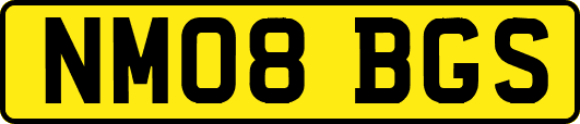 NM08BGS