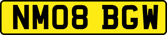 NM08BGW