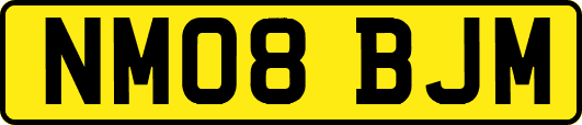 NM08BJM