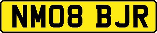NM08BJR
