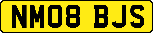 NM08BJS