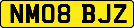 NM08BJZ