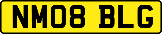 NM08BLG