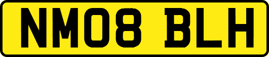 NM08BLH