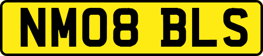 NM08BLS