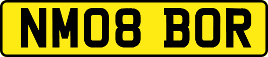 NM08BOR
