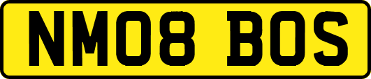 NM08BOS