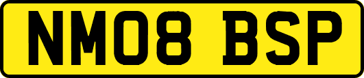 NM08BSP
