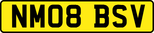 NM08BSV