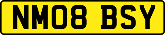 NM08BSY