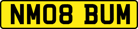 NM08BUM