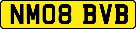 NM08BVB