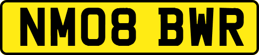 NM08BWR
