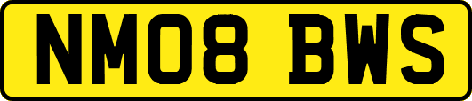 NM08BWS