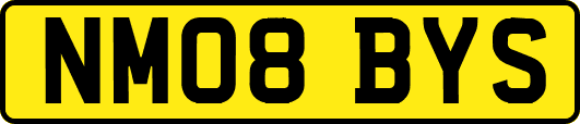 NM08BYS