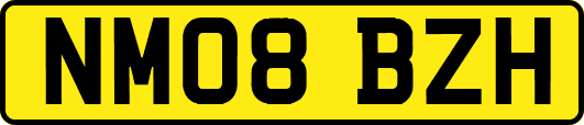 NM08BZH