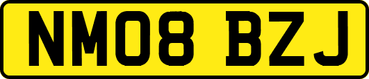 NM08BZJ