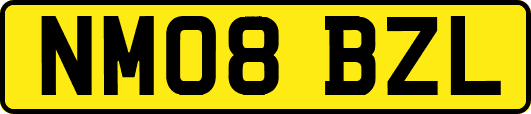 NM08BZL