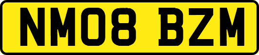 NM08BZM