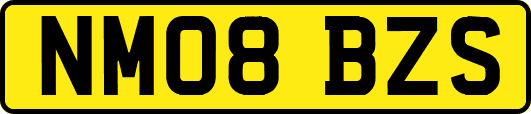NM08BZS