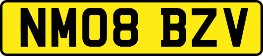 NM08BZV